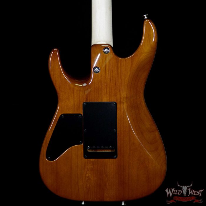 Tom Anderson Angel HSH w/ VA Booster Flame Top on Alder Rosewood Fingerboard Natural Purple Burst - Image 7