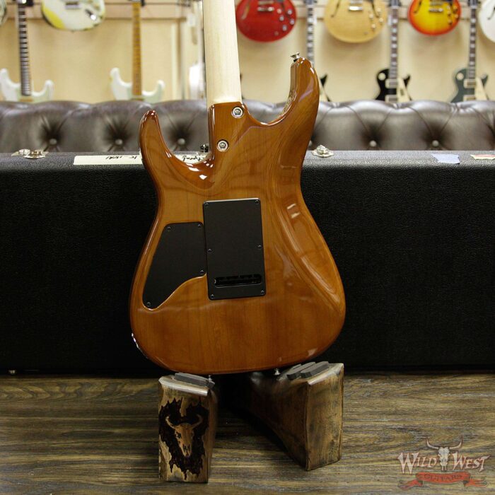 Tom Anderson Angel HSH w/ VA Booster Flame Top on Alder Rosewood Fingerboard Natural Purple Burst - Image 14