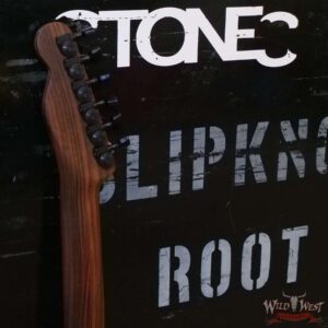 Jim Root Collection Warmoth Quilt Maple Top Telecaster Rosewood Neck Ebony Fingerboard Trans Blue - Image 10